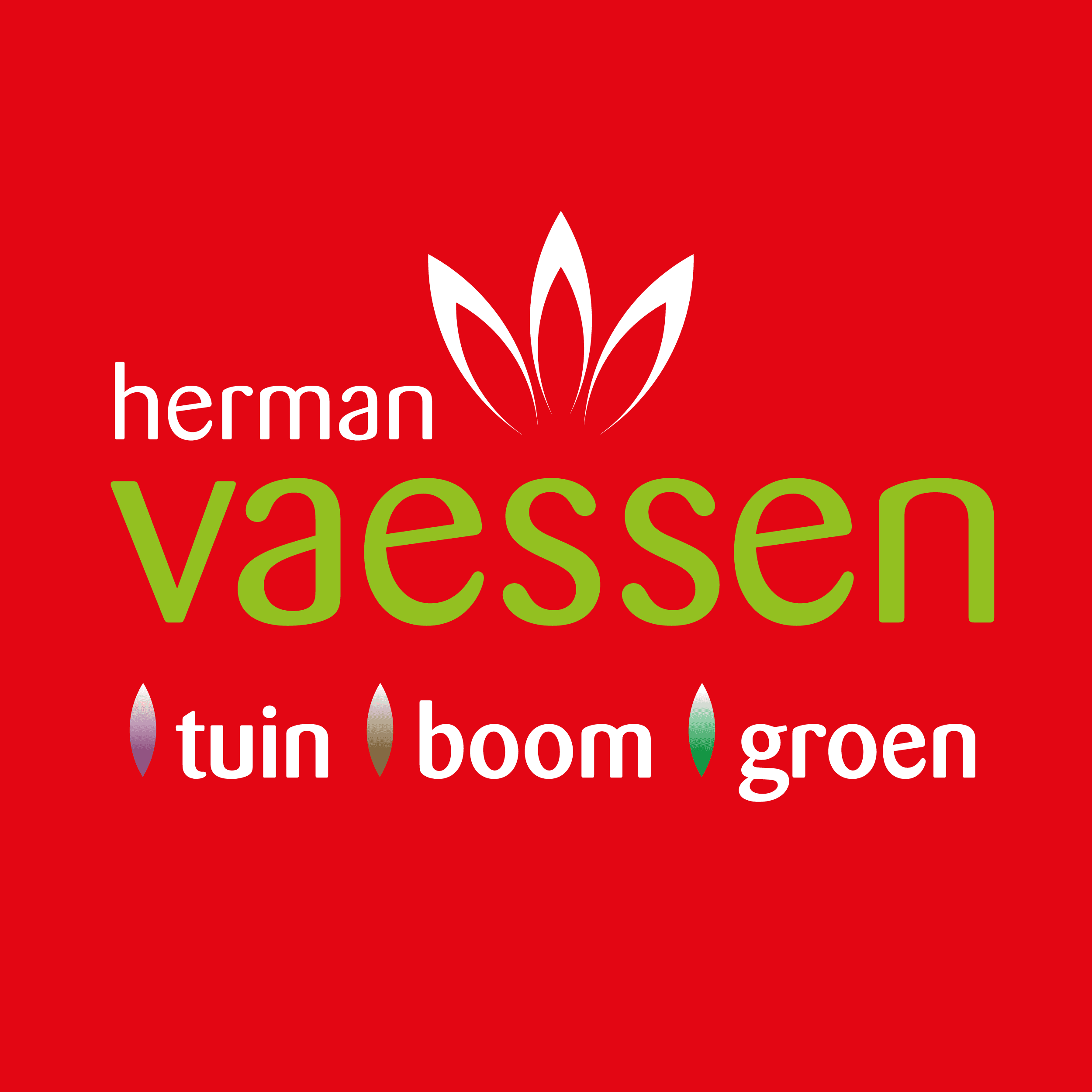 Herman Vaessen Tuin | Boom | Groen