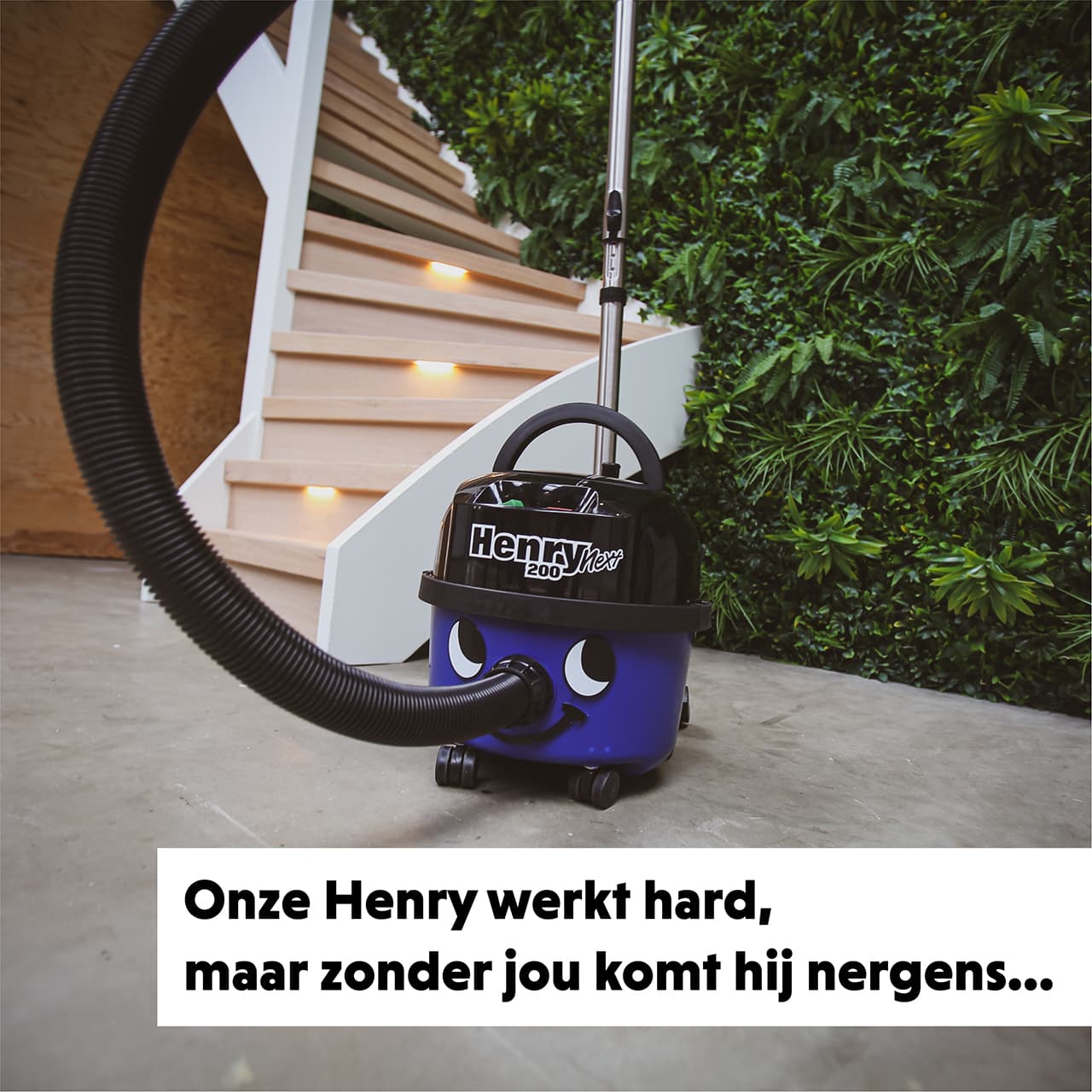 Interieurverzorg(st)er